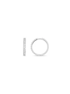 Basics Hoop Earrings