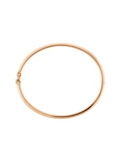 Minimalism Bangle -Tudor Jewelry Sales 50AR0116 wempe 02