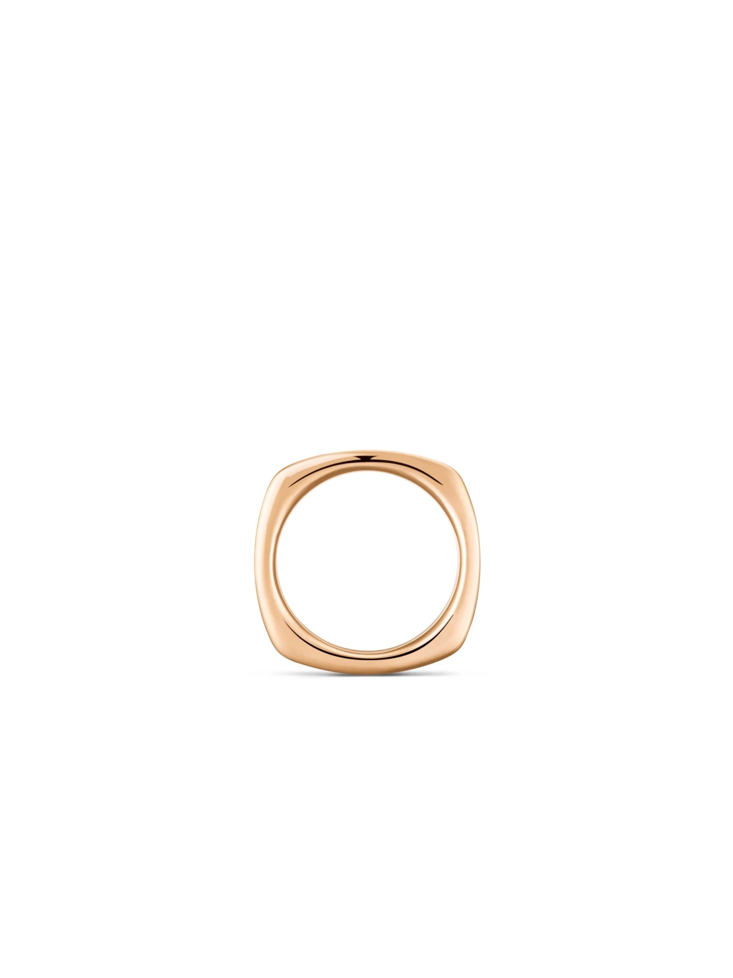 Voyage Ring 4 Voyage Ring - Image 2