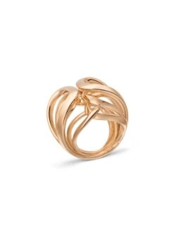 Sensual Golden Bridge Ring