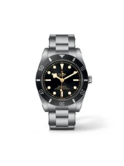 Tudor Black Bay 54