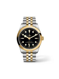 Tudor Black Bay 36 S&G