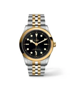 Tudor Black Bay 41 S&G