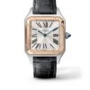 Cartier Santos Dumont - Large Model -Tudor Jewelry Sales W2SA0011 CA430034 wempe 01